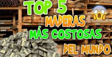 ¿Cuál es la madera más cara del mundo?