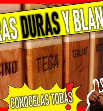 ¿Cuál es la madera más fina para muebles?