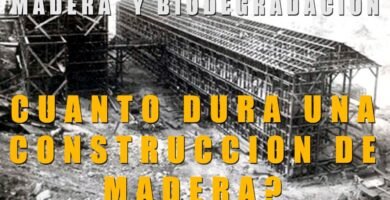 ¿Cuánto dura una casa hecha de madera?