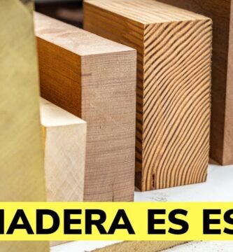 ¿Cuántos tipos de bricolaje existen?