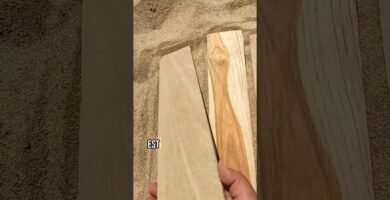 ¿Qué madera aguanta más en exterior?