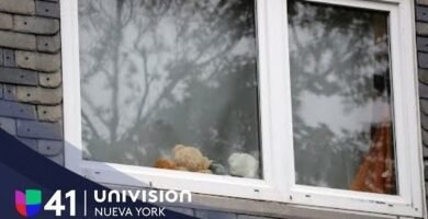 cómo asegurar ventanas contra robos para casas de playa